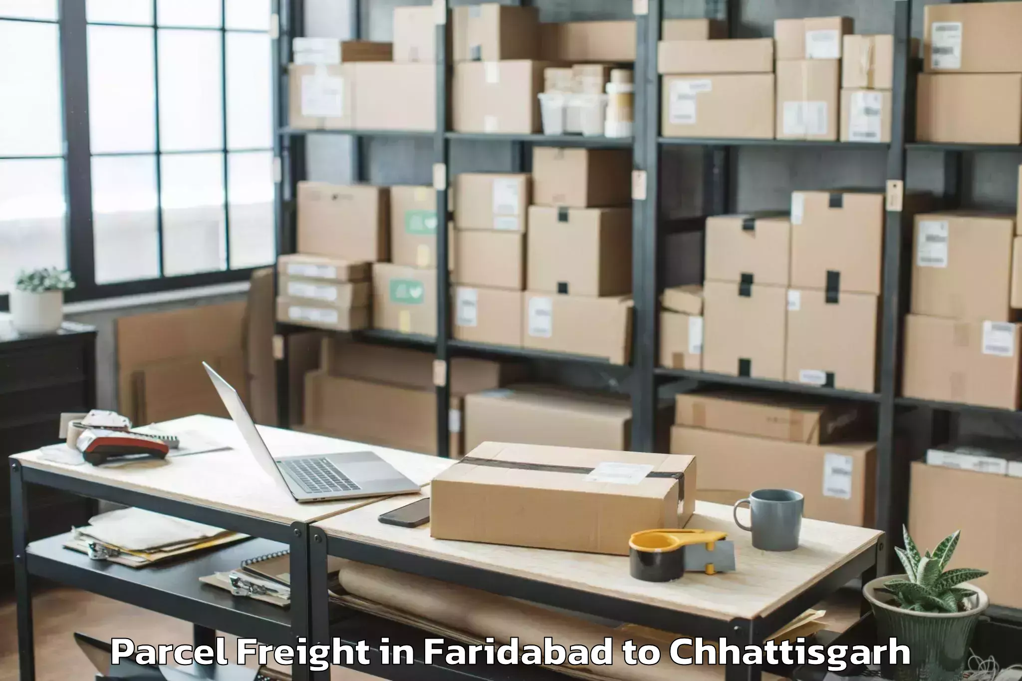 Easy Faridabad to Sarguja University Ambikapur Parcel Freight Booking